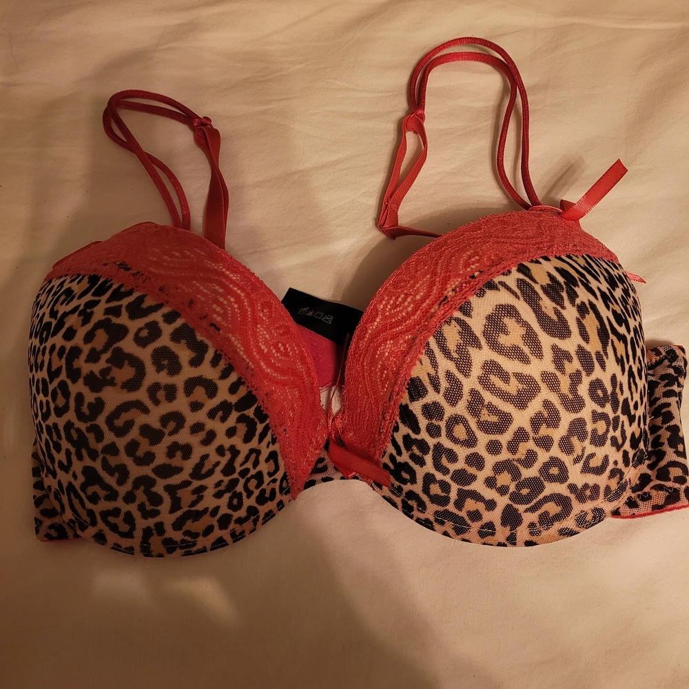 Leopard Print and Pink Lace Bra